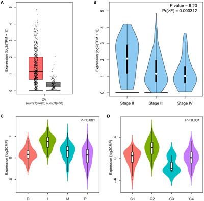 CD38 Predicts Favorable Prognosis by Enhancing Immune Infiltration and Antitumor Immunity in the Epithelial Ovarian Cancer Microenvironment